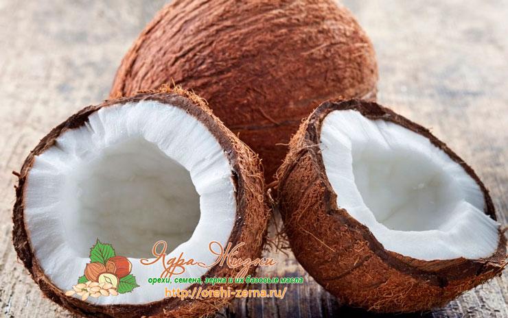 Фото: Кокос (кокосовый орех)
