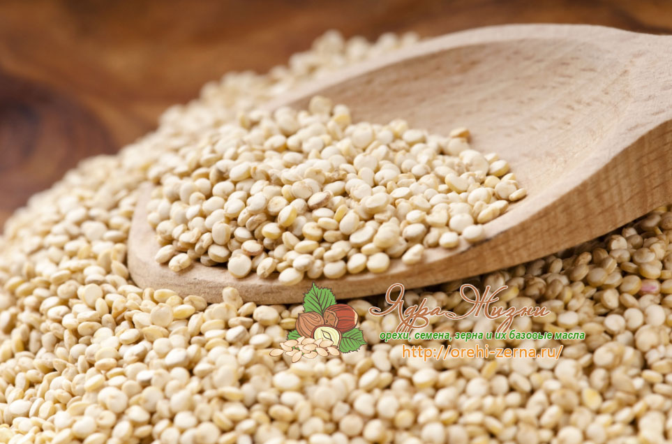 Рецепт семена амаранта семен равский акварель