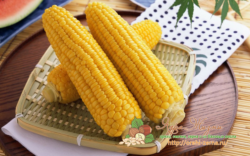 польза и вред кукурузы