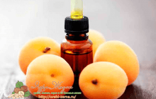 Полезные свойства масла абрикосовых косточек
