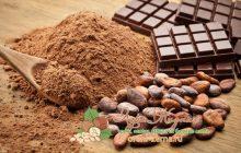 Какао порошок польза и вред для организма
