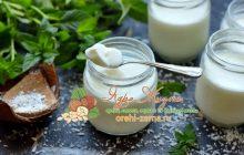 йогурт на кокосовом молоке рецепт в домашних условиях