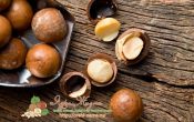 Миниатюра к статье Королевский орех Макадамия и его полезные свойства, о которых вы могли не знать